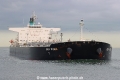 Sea Puma TL-031022-2.jpg