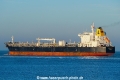 King Gregory SH-281021-01.jpg