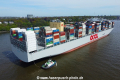 OOCL Spain TL-010523-08.jpg