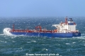 Seascout (MM-030615-3).jpg