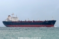 Kingfisher (MS-151007-03).jpg
