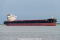 Golden Frigo (OK-060526-2).jpg