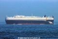 Gold Hoshi TL-080626-1.jpg