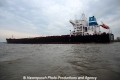 Tonic Sea 011112-06.jpg