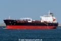 Lacerta SH-310822-01.jpg