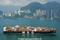 MSC Lily HK-190117-2.jpg