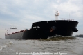 Tonic Sea 011112-11.jpg