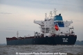 Tonic Sea 011112-23.jpg