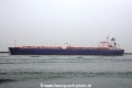 Sharon Sea OS-240913-03.jpg