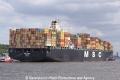 MSC Ines (JS-250510-19).jpg