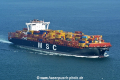 MSC Elma HK-100117.jpg