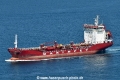 Excellion HK-010925.jpg