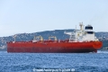 Signal Alpha (OK-110918-4).jpg