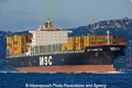 MSC Fiammetta (OK-030608-0).jpg