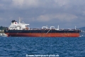 Shenlong Spirit (OK-031018-5).jpg