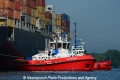 ZP Boxer 280513-03.jpg