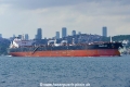 Shenlong Spirit (OK-031018-0).jpg