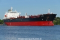 Lacerta (OK-100822-1).jpg