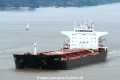 Tonic Sea 240915-01.jpg
