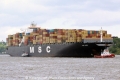 MSC Ines (JS-250510-03).jpg