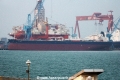 Seaviolet (MS-010118).jpg