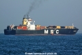 MSC Marylena (MS-130810-15).jpg
