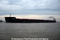 Tonic Sea 011112-05.jpg