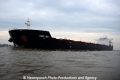 Tonic Sea 011112-19.jpg