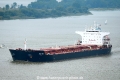 Tonic Sea 240915-03.jpg