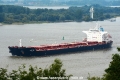 Tonic Sea 240915-05.jpg