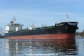 Kriti Admiral (MB-170324-1).jpg