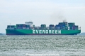 Ever Mild OS-231025-04.jpg