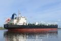 Kriti Admiral (OK-170324-2).jpg