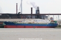 Fairchem Mustang TL-160714-1.jpg