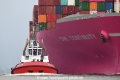 ZP Bulldog 261018-05.jpg