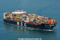 MSC Lily HK-190117-1.jpg