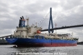 Fairchem Birdie (KB-D060912-03).jpg