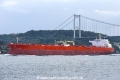 Signal Alpha (OK-110918-1).jpg