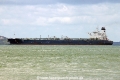 Dilam (MS-310722-03).jpg