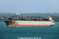 Green Season OS-260113-05.jpg