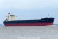 Athenian Phoenix (KK-120616-1).jpg