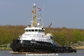 Bever (OK-240415-0).jpg