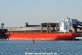 Saga Morus RV-231211-02.jpg