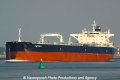 Amorea (JS-030911-01).jpg