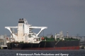DHT Ann (MM-160613-2).jpg