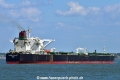 Caribbean Loyalty (KB-D050624-16).jpg