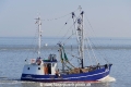 Ramona CUX9 (OK-310321-2).jpg