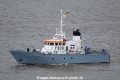 Munster HK-100519.jpg