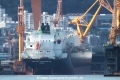 British Contributor (MS-071018-02).jpg