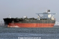 DHT Ann SH-230116-01.jpg